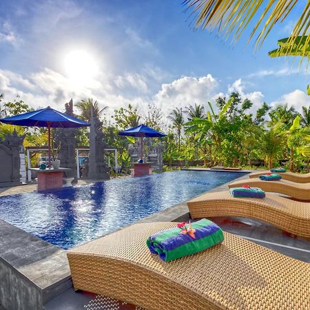 Kira Cottages Sakti Ngoại thất bức ảnh