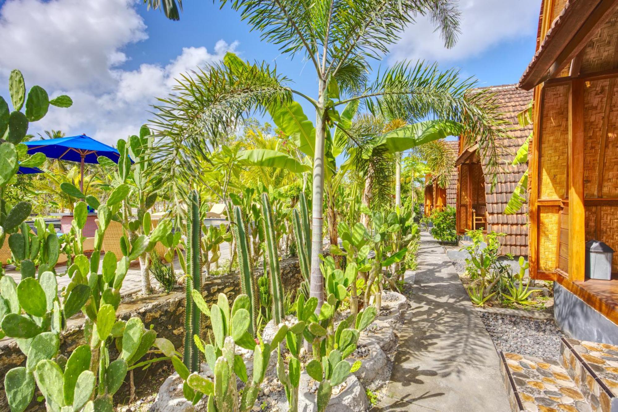 Kira Cottages Sakti Ngoại thất bức ảnh
